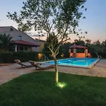 Golden Olive In Volme, Banjole! * Banjole